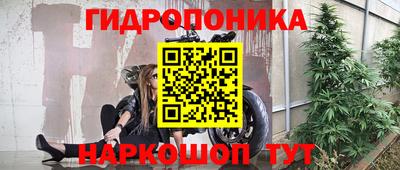 соль ск Будённовск